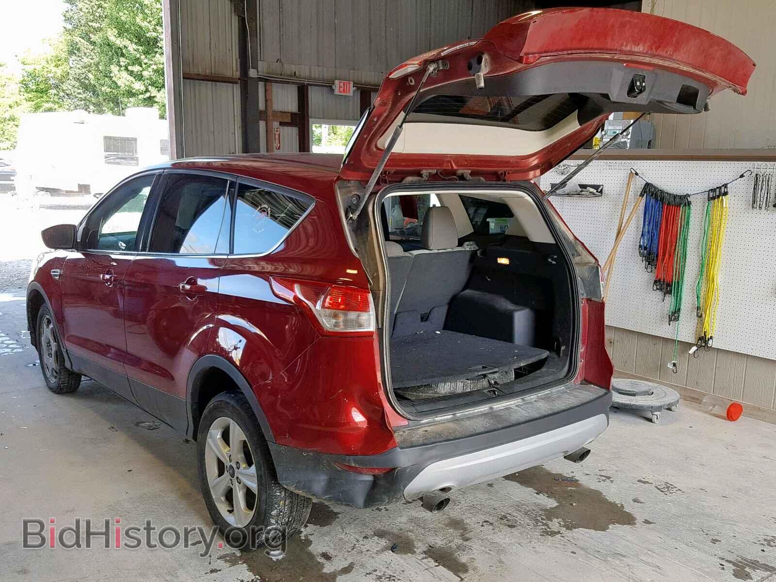 2013 FORD ESCAPE - VIN: 1FMCU0GX1DUD92288 - Фото 3