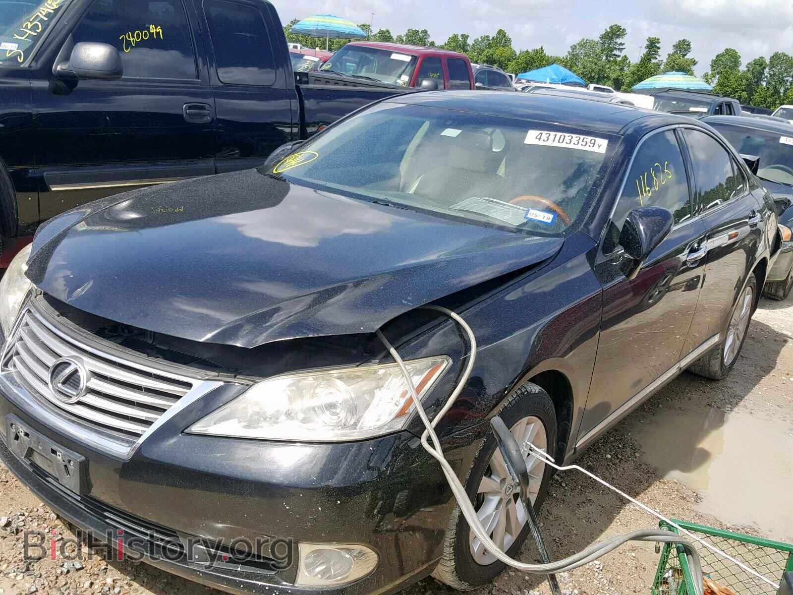 2010 LEXUS ES350 - VIN: JTHBK1EG9A2377705 - Фото 2