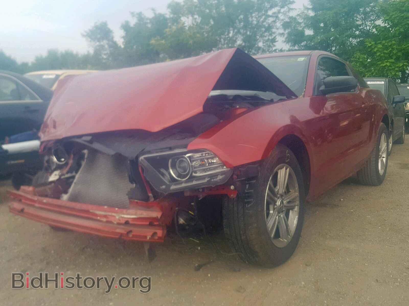 2014 FORD MUSTANG - VIN: 1ZVBP8AM5E5287198 - Фото 2