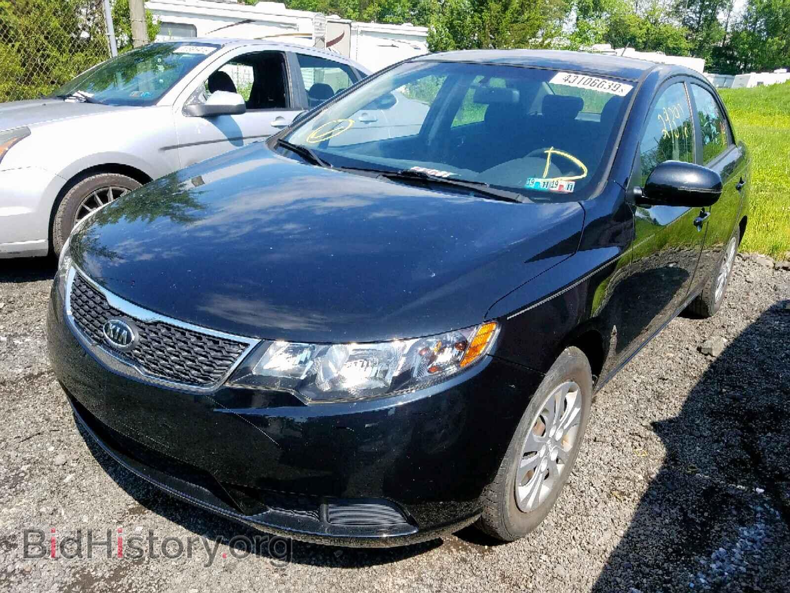2013 KIA FORTE EX - VIN: KNAFU4A25D5713374 - Фото 2