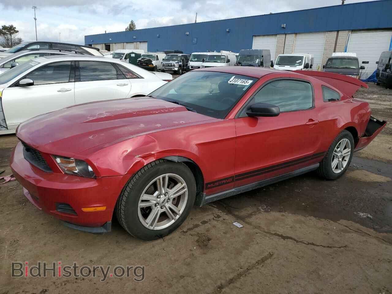Фотография 1ZVBP8AN4A5156234 - FORD ALL Models 2010