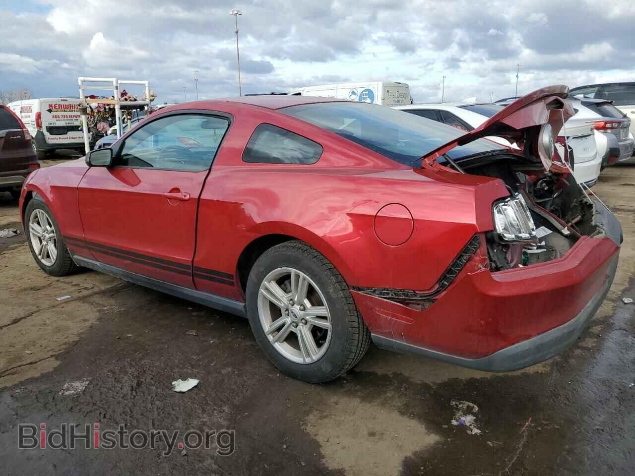 2010 FORD ALL Models - VIN: 1ZVBP8AN4A5156234 - Фото 2