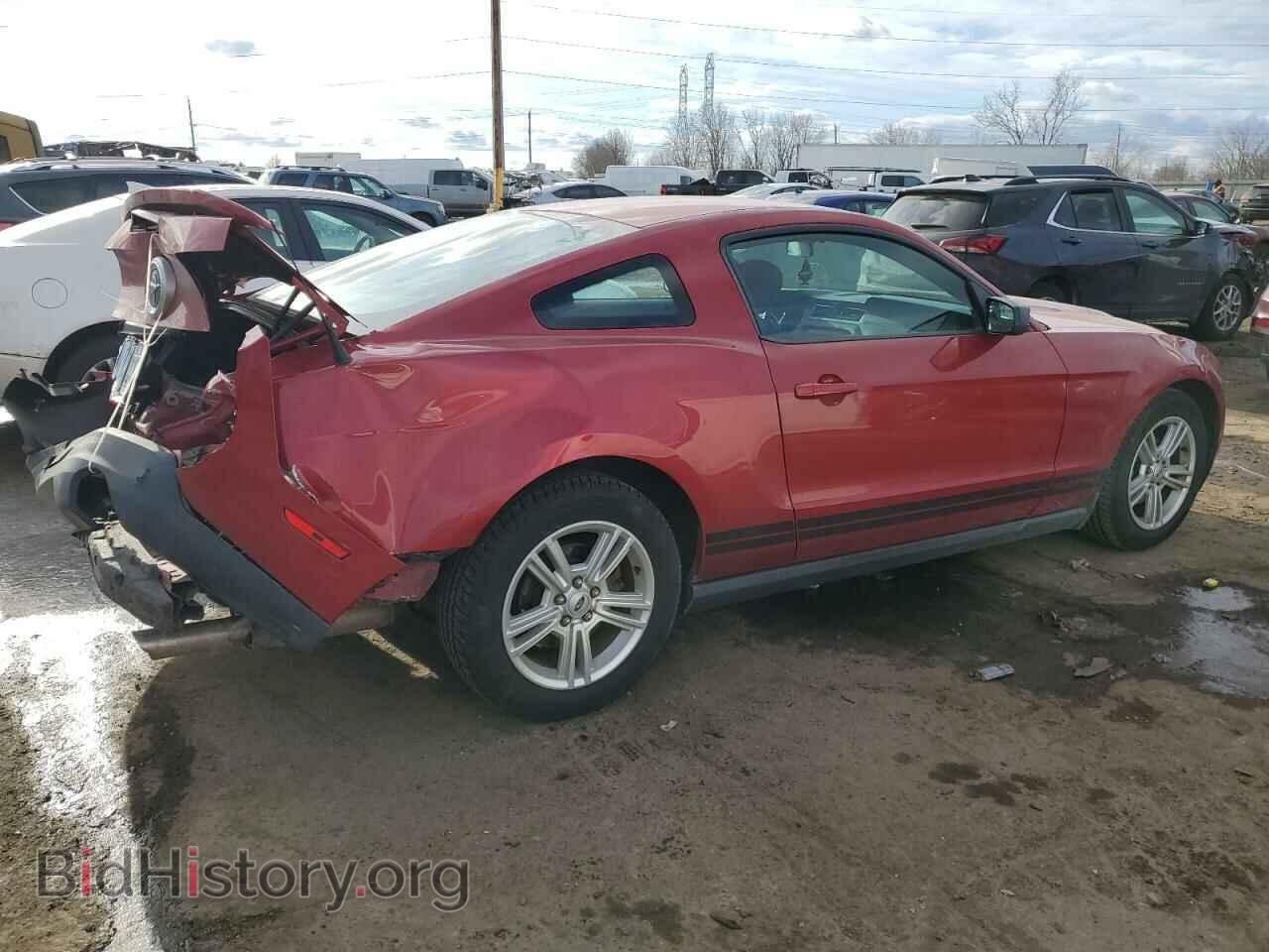 2010 FORD ALL Models - VIN: 1ZVBP8AN4A5156234 - Фото 3