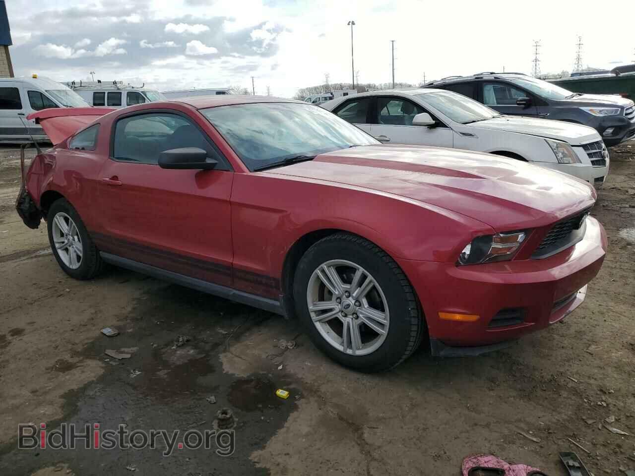 2010 FORD ALL Models - VIN: 1ZVBP8AN4A5156234 - Фото 4
