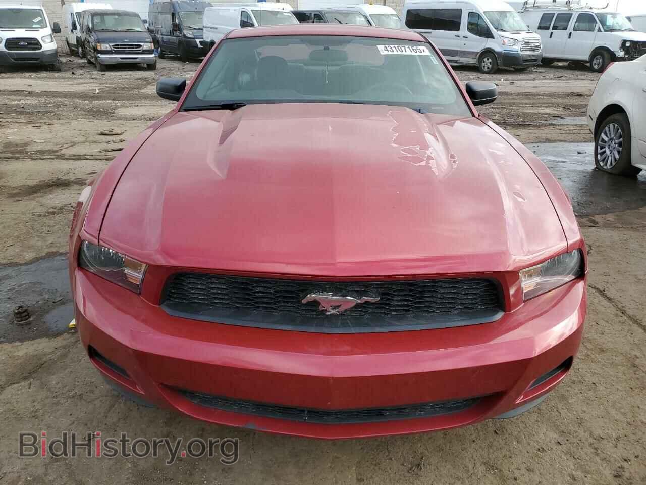 2010 FORD ALL Models - VIN: 1ZVBP8AN4A5156234 - Фото 5