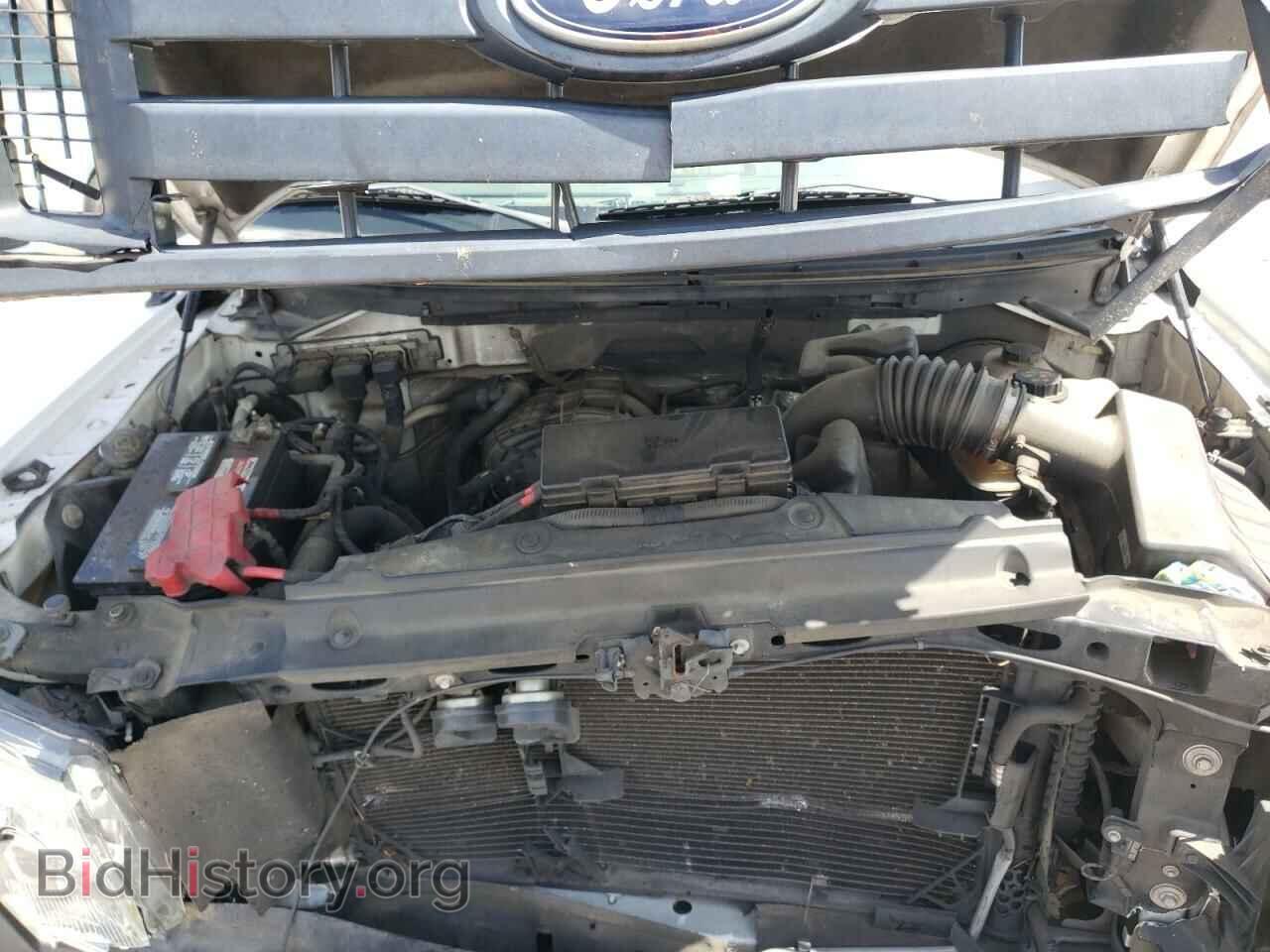 2012 FORD F150 - VIN: 1FTMF1CM5CFB21001 - Фото 7