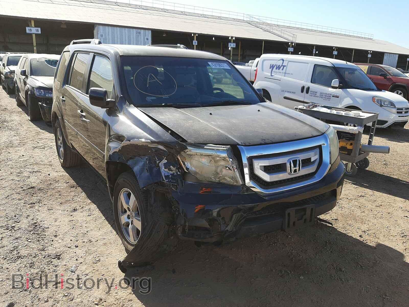 Photo 5FNYF3H49BB023646 - HONDA PILOT 2011