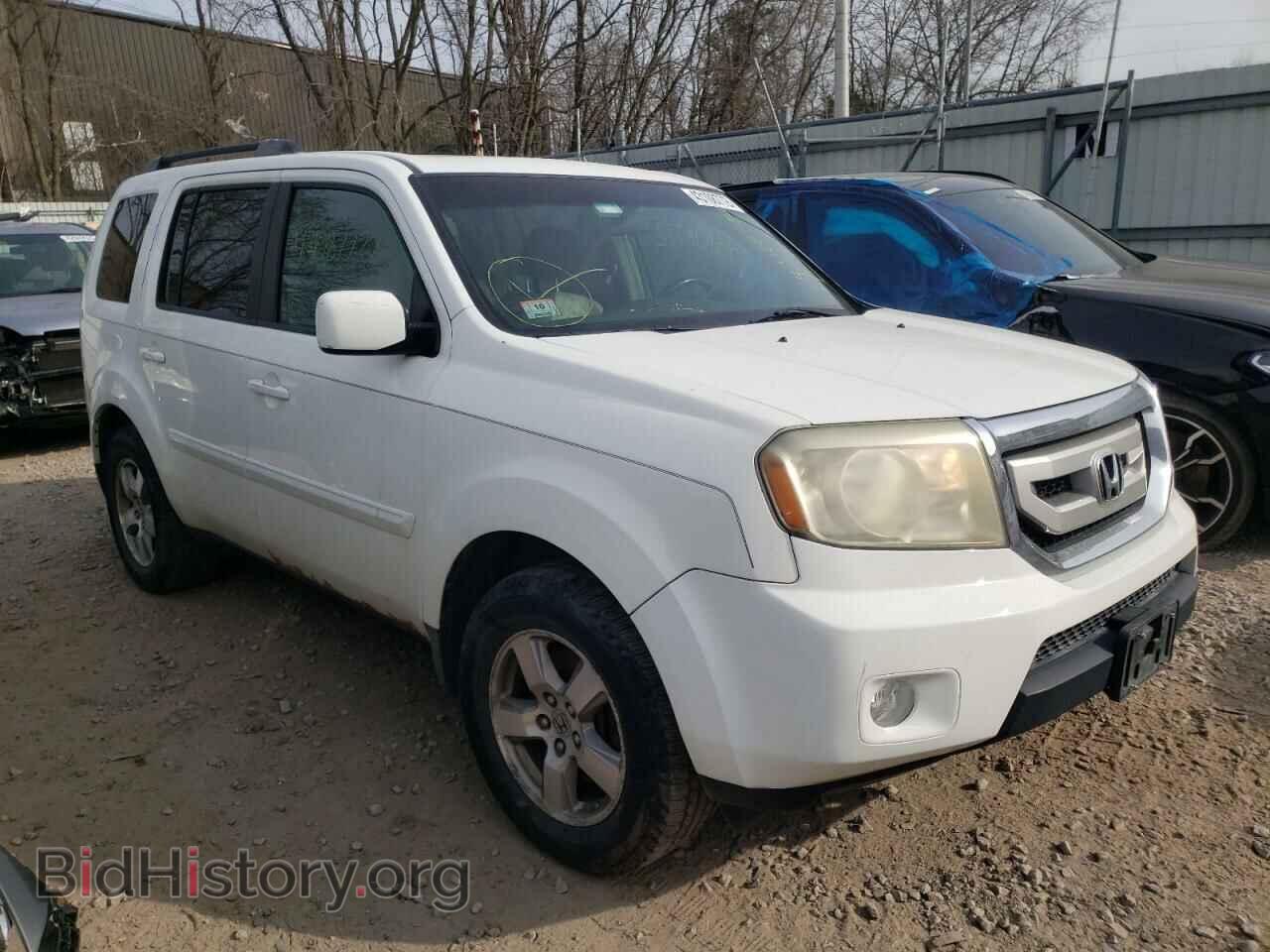 Фотография 5FNYF48519B043768 - HONDA PILOT 2009