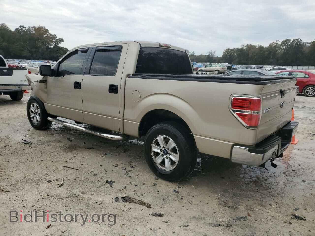 2009 FORD F-150 - VIN: 1FTRW12809KB50495 - Фото 2