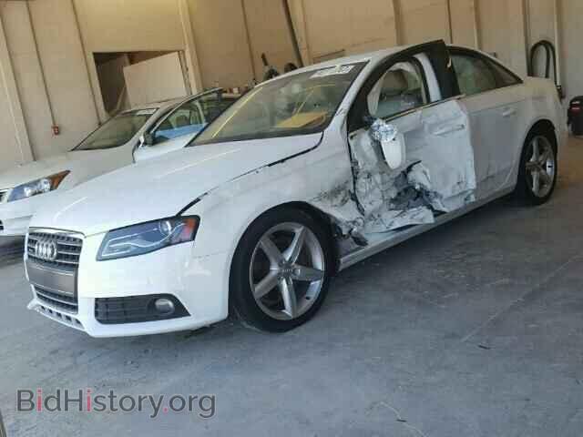 2011 AUDI A4 - VIN: WAUKFAFL6BN040567 - Фото 2