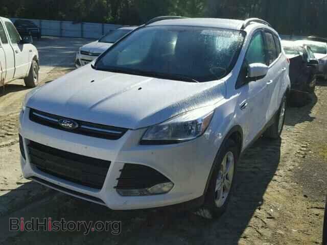 2014 FORD ESCAPE - VIN: 1FMCU0G92EUC65231 - Photo 2
