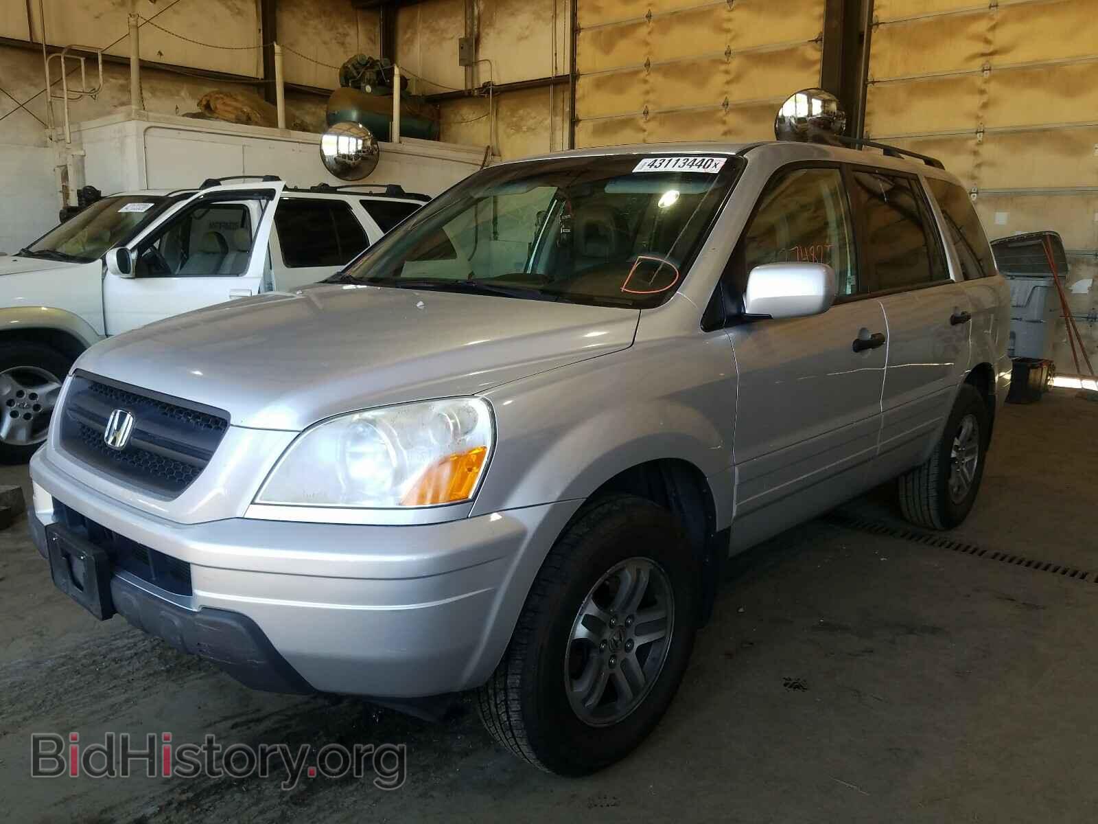 2005 HONDA PILOT - VIN: 5FNYF18505B037758 - Фото 2