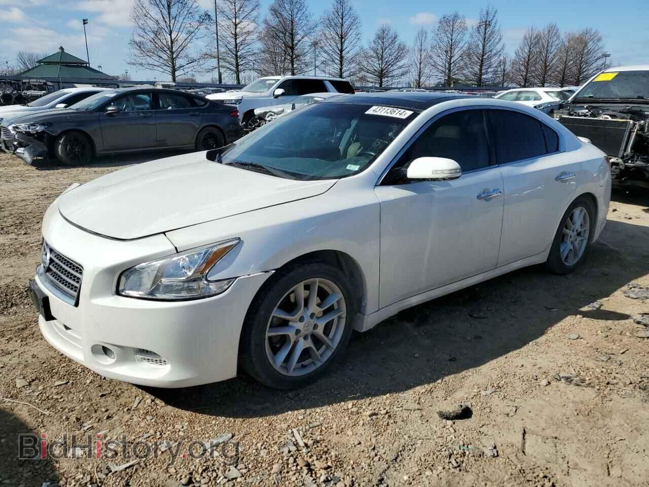 Photo 1N4AA51E99C827652 - NISSAN MAXIMA 2009