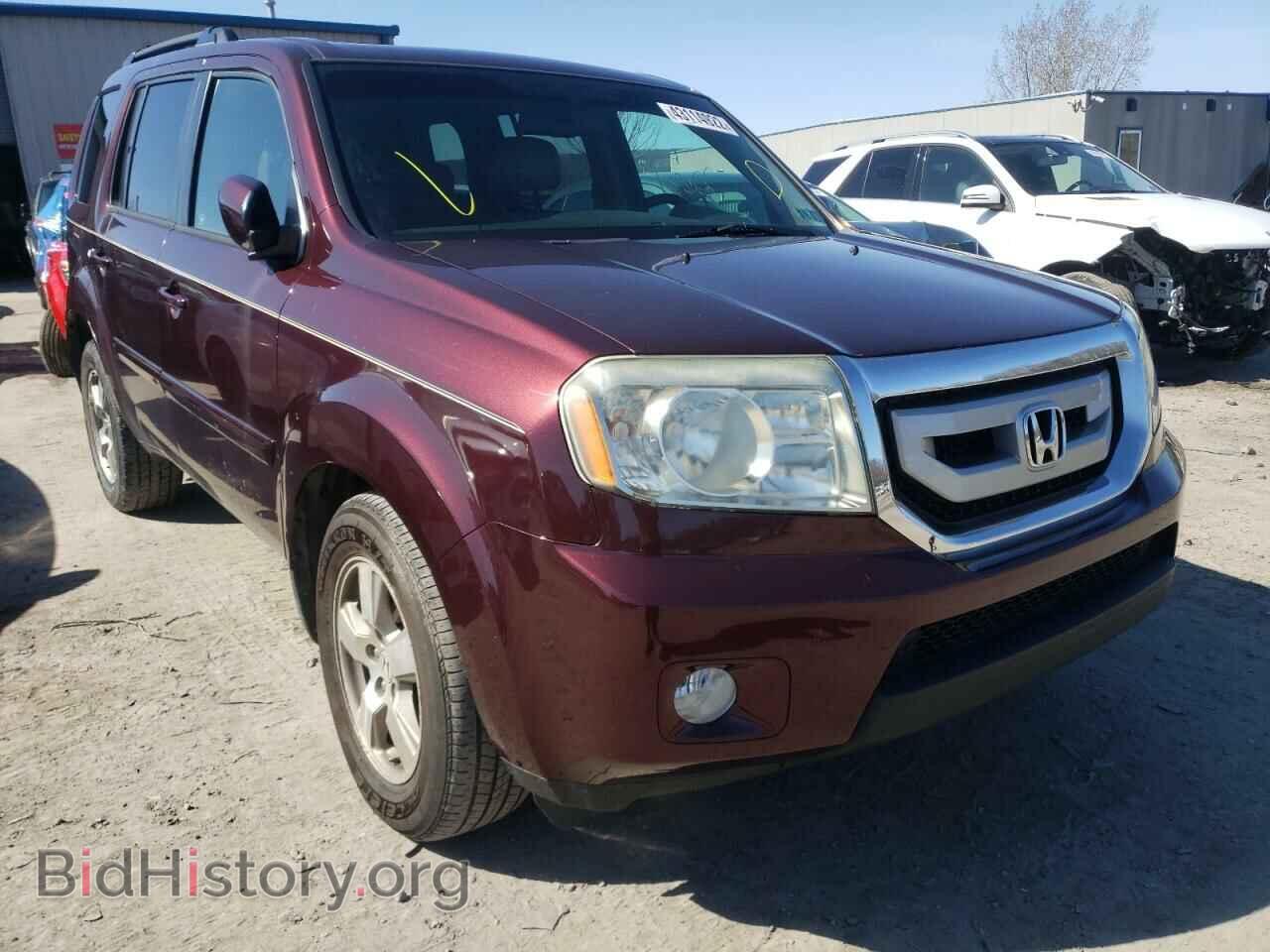 Фотография 5FNYF4H57BB007248 - HONDA PILOT 2011