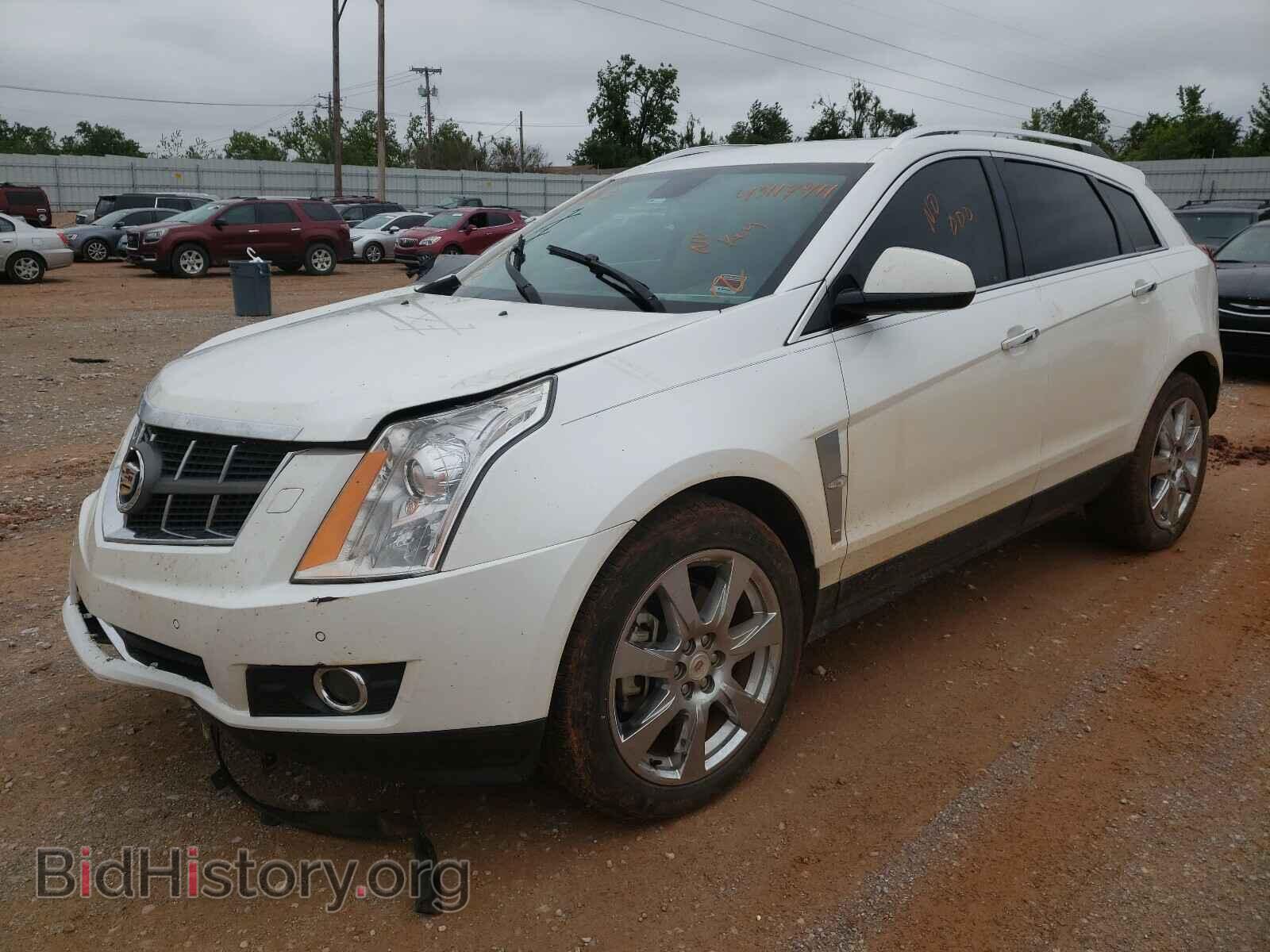 2012 CADILLAC SRX - VIN: 3GYFNCE3XCS544903 - Фото 2