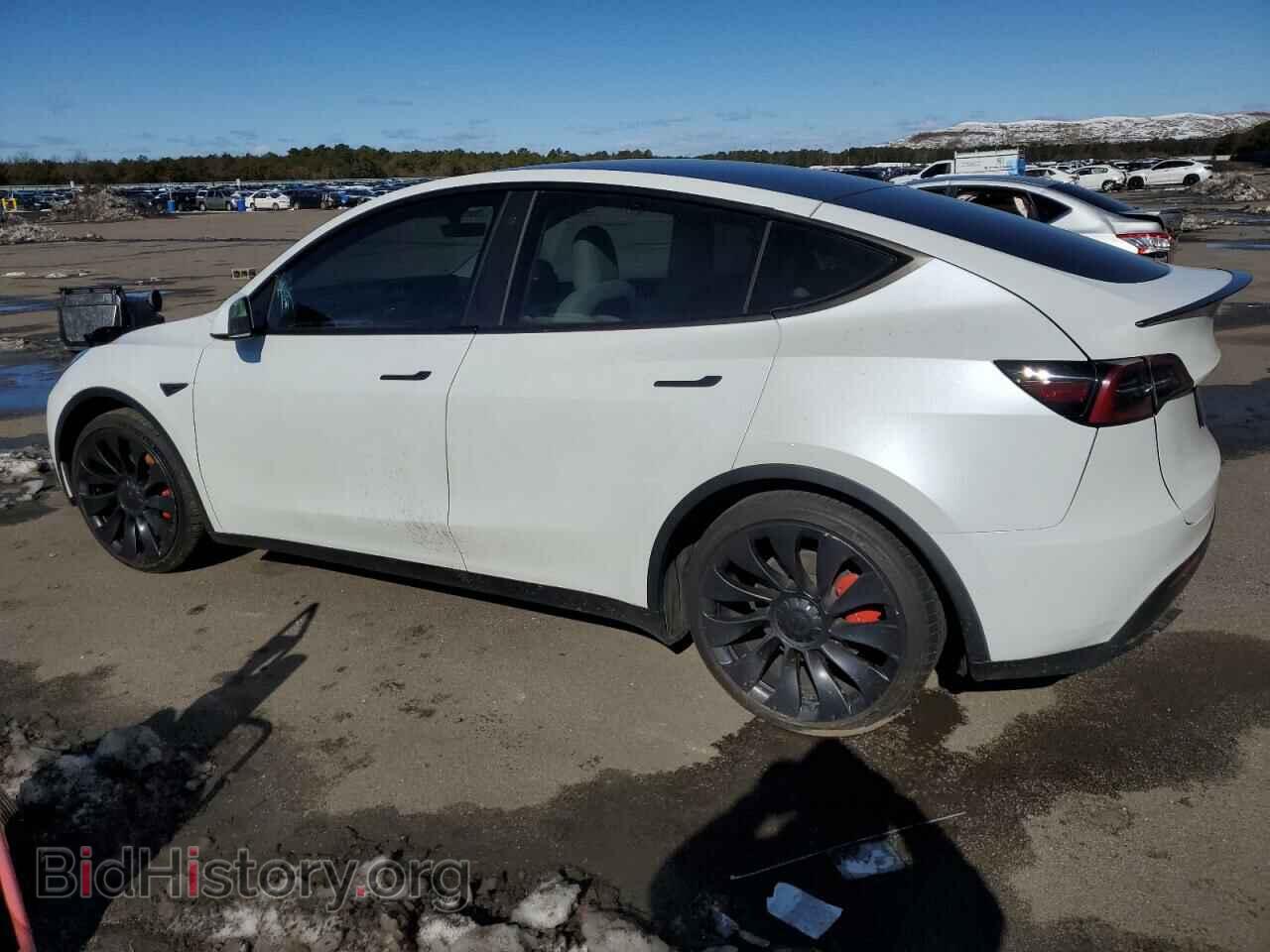 2022 TESLA MODEL Y - VIN: 7SAYGDEF7NF462974 - Фото 2