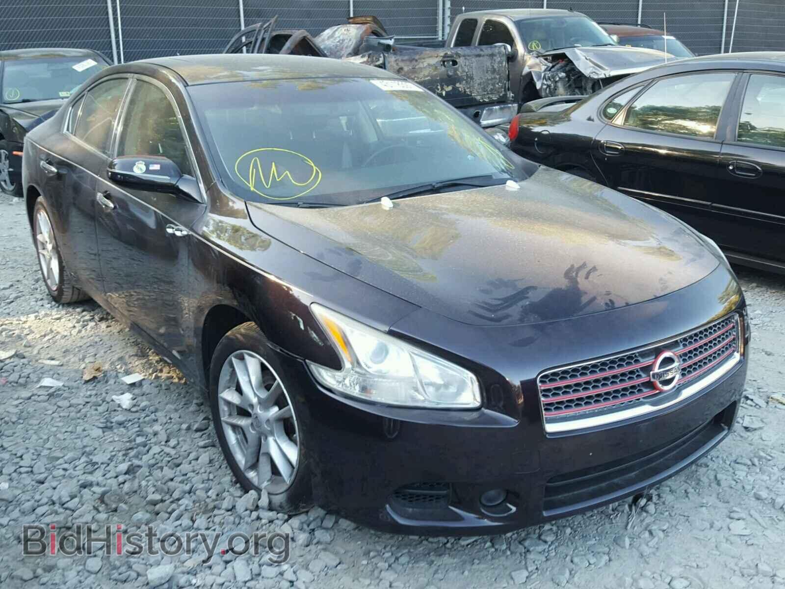Фотография 1N4AA5AP1AC829143 - NISSAN MAXIMA 2010