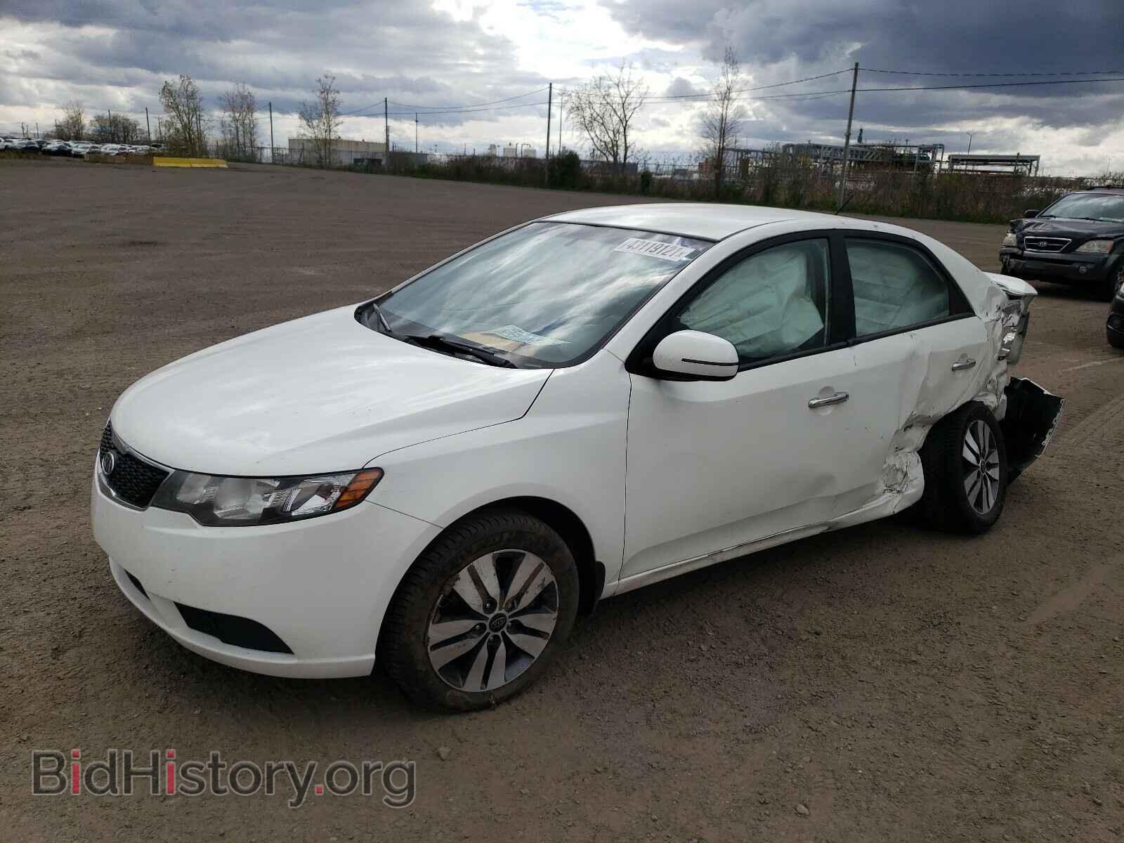 2013 KIA FORTE - VIN: KNAFU4A29D5652207 - Фото 2