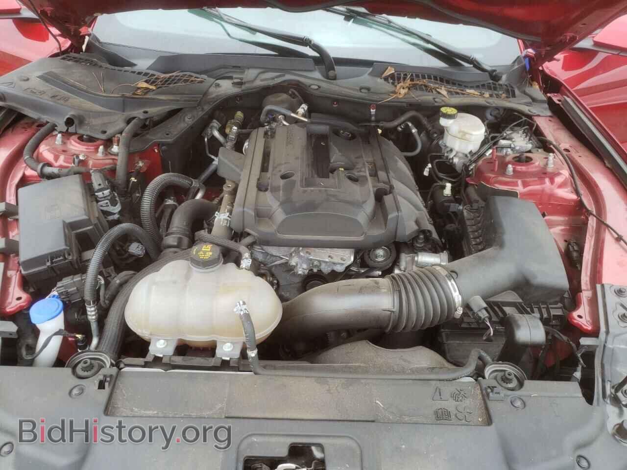 2020 FORD ALL Models - VIN: 1FA6P8TH2L5126539 - Фото 7