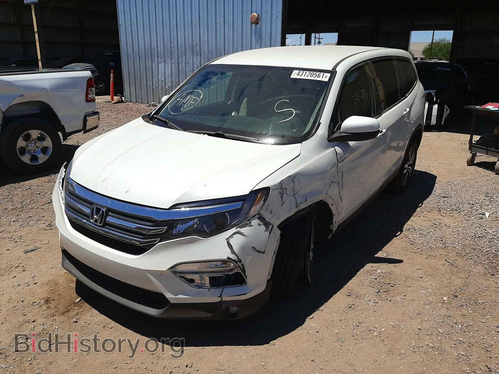 2017 HONDA PILOT - VIN: 5FNYF5H38HB015954 - Фото 2