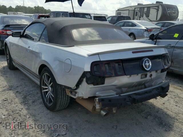 2013 FORD MUSTANG - VIN: 1ZVBP8EM2D5217263 - Фото 3