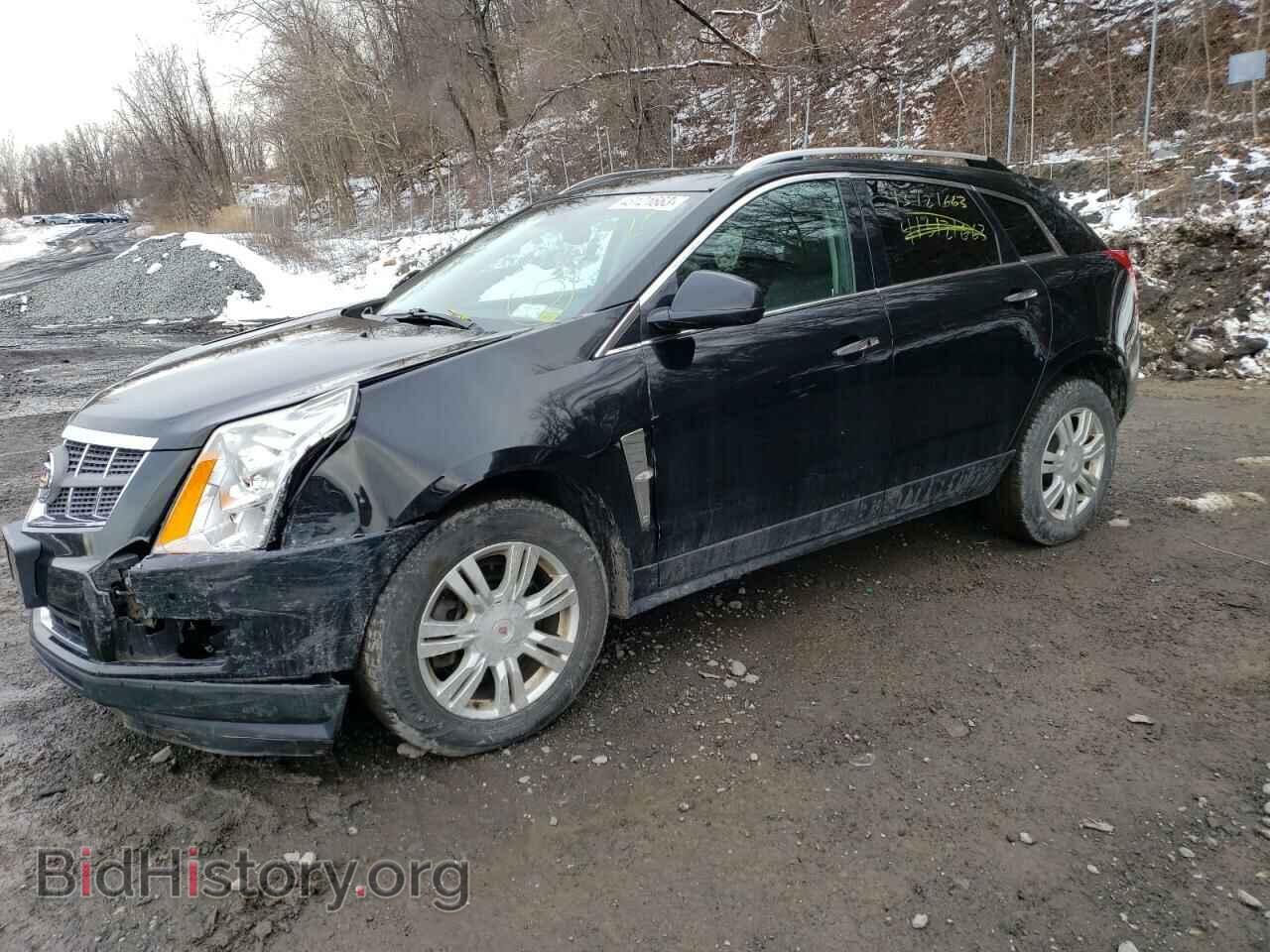 Фотография 3GYFNDEY1BS680711 - CADILLAC SRX 2011