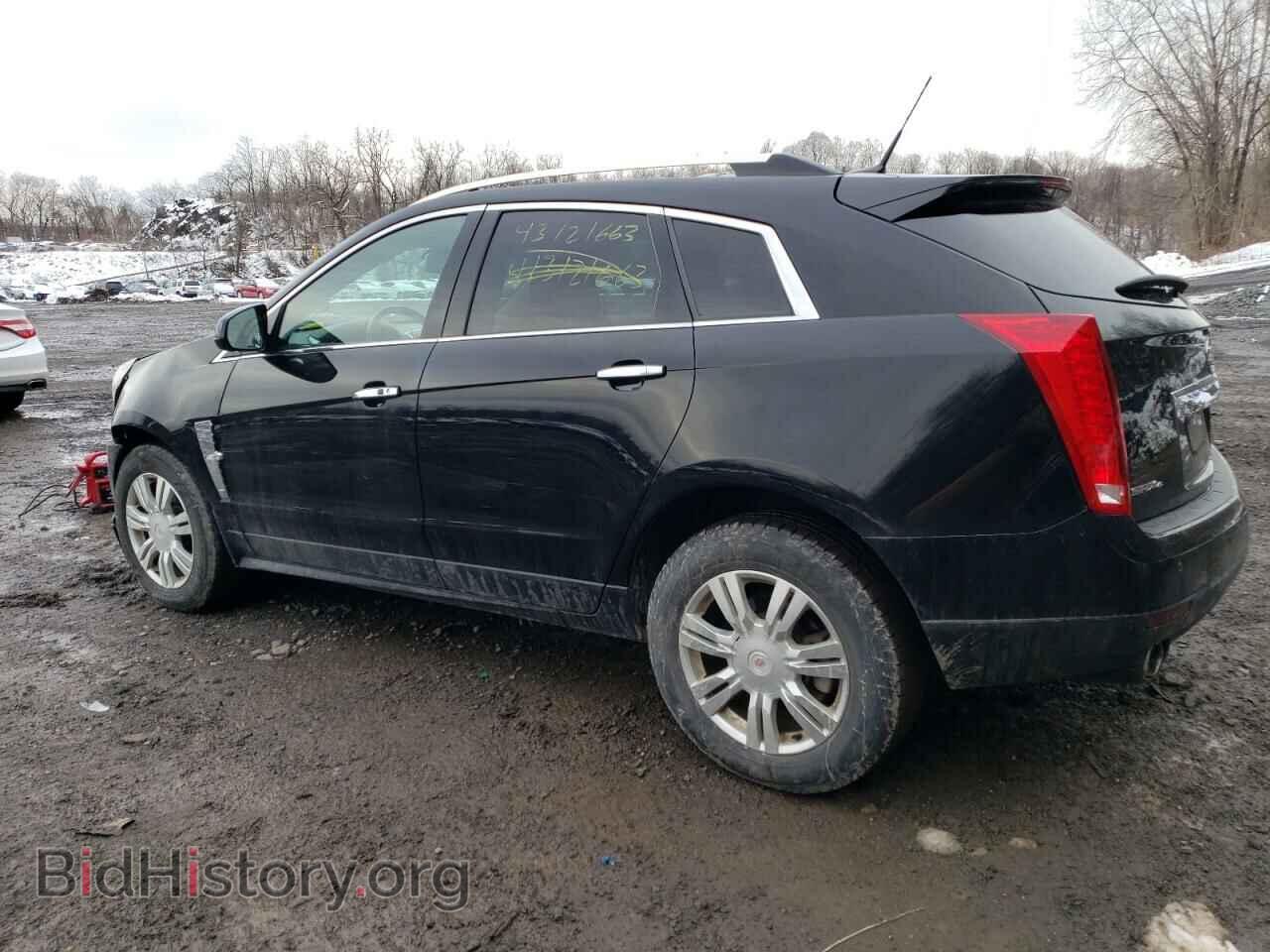 2011 CADILLAC SRX - VIN: 3GYFNDEY1BS680711 - Фото 2
