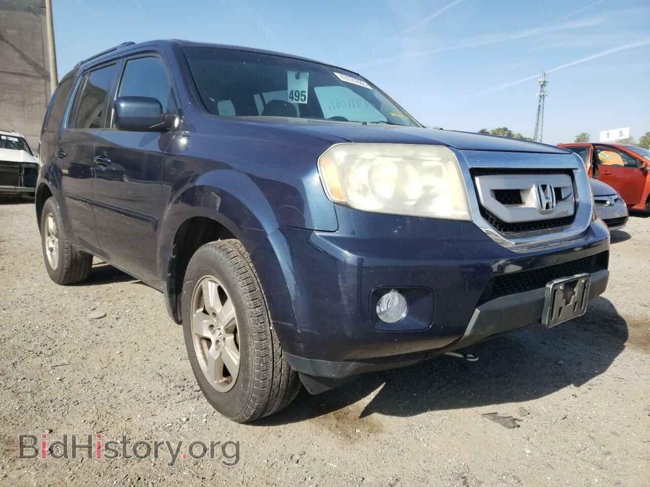 Фотография 5FNYF3H41BB015914 - HONDA PILOT 2011
