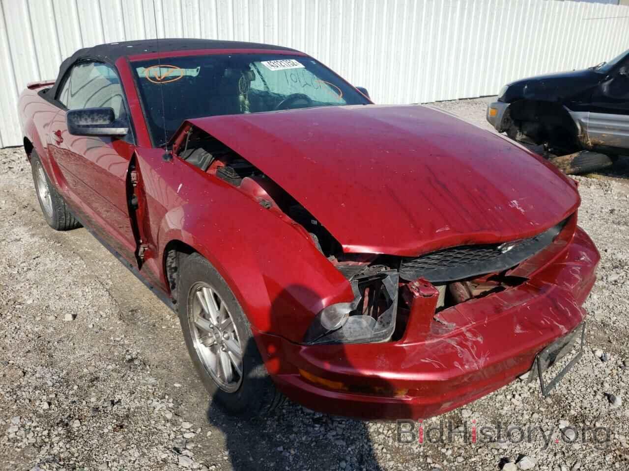 Photo 1ZVHT84N685183737 - FORD MUSTANG 2008