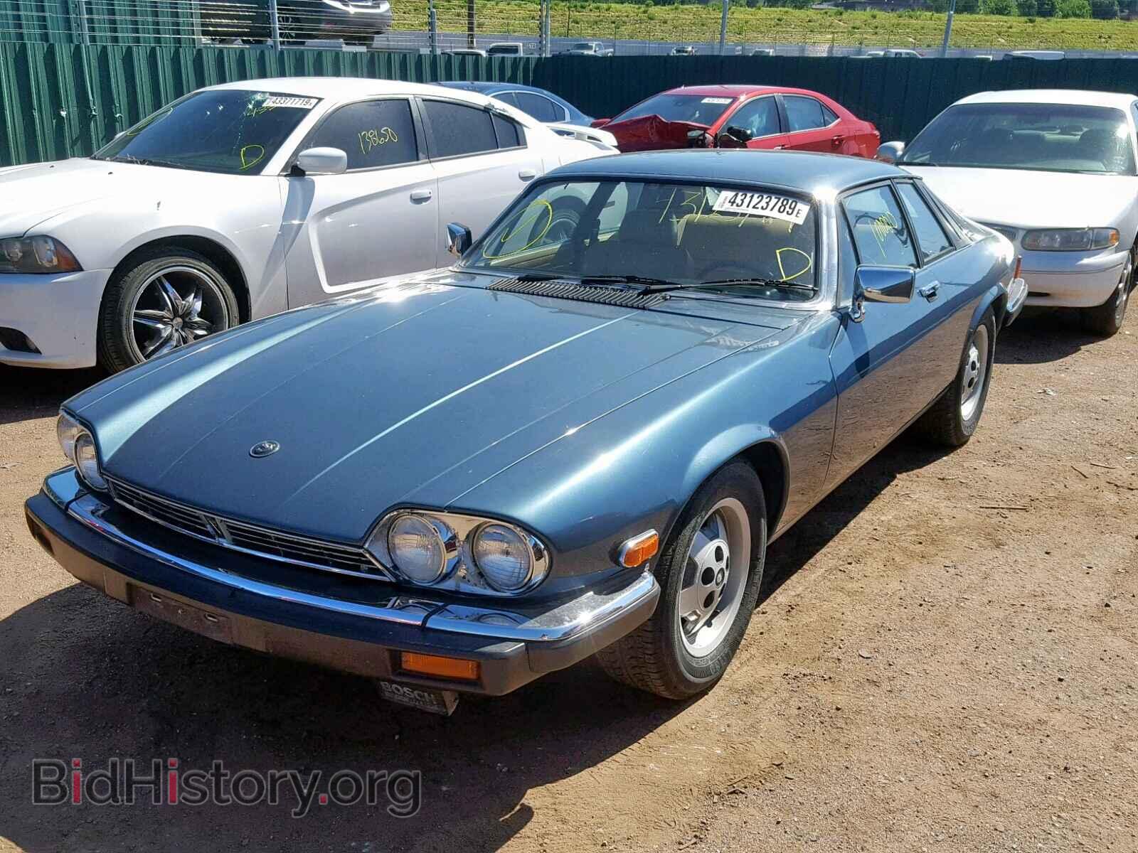 1983 JAGUAR XJS - VIN: SAJNV5845DC111581 - Фото 2