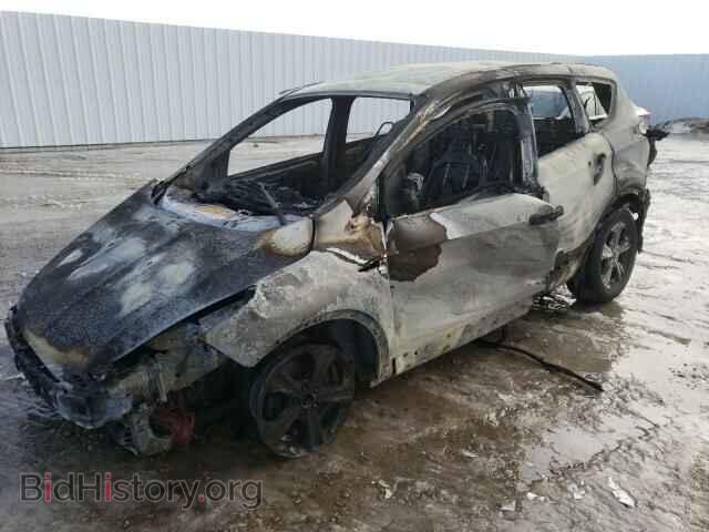 2014 FORD ESCAPE - VIN: 1FMCU9GX5EUC03020 - Фото 2