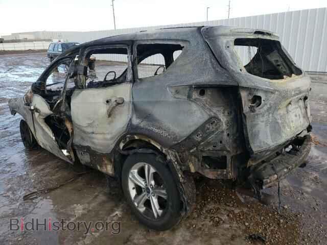 2014 FORD ESCAPE - VIN: 1FMCU9GX5EUC03020 - Фото 3