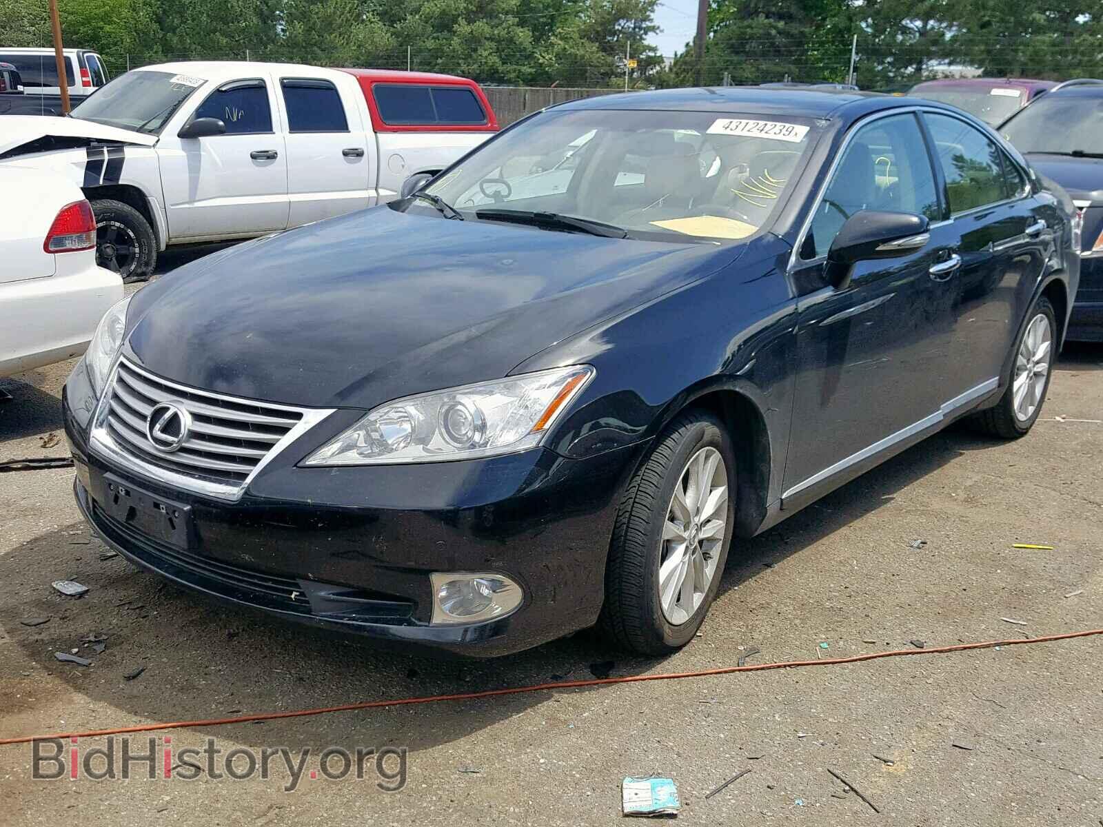 2010 LEXUS ES350 - VIN: JTHBK1EG8A2412850 - Фото 2