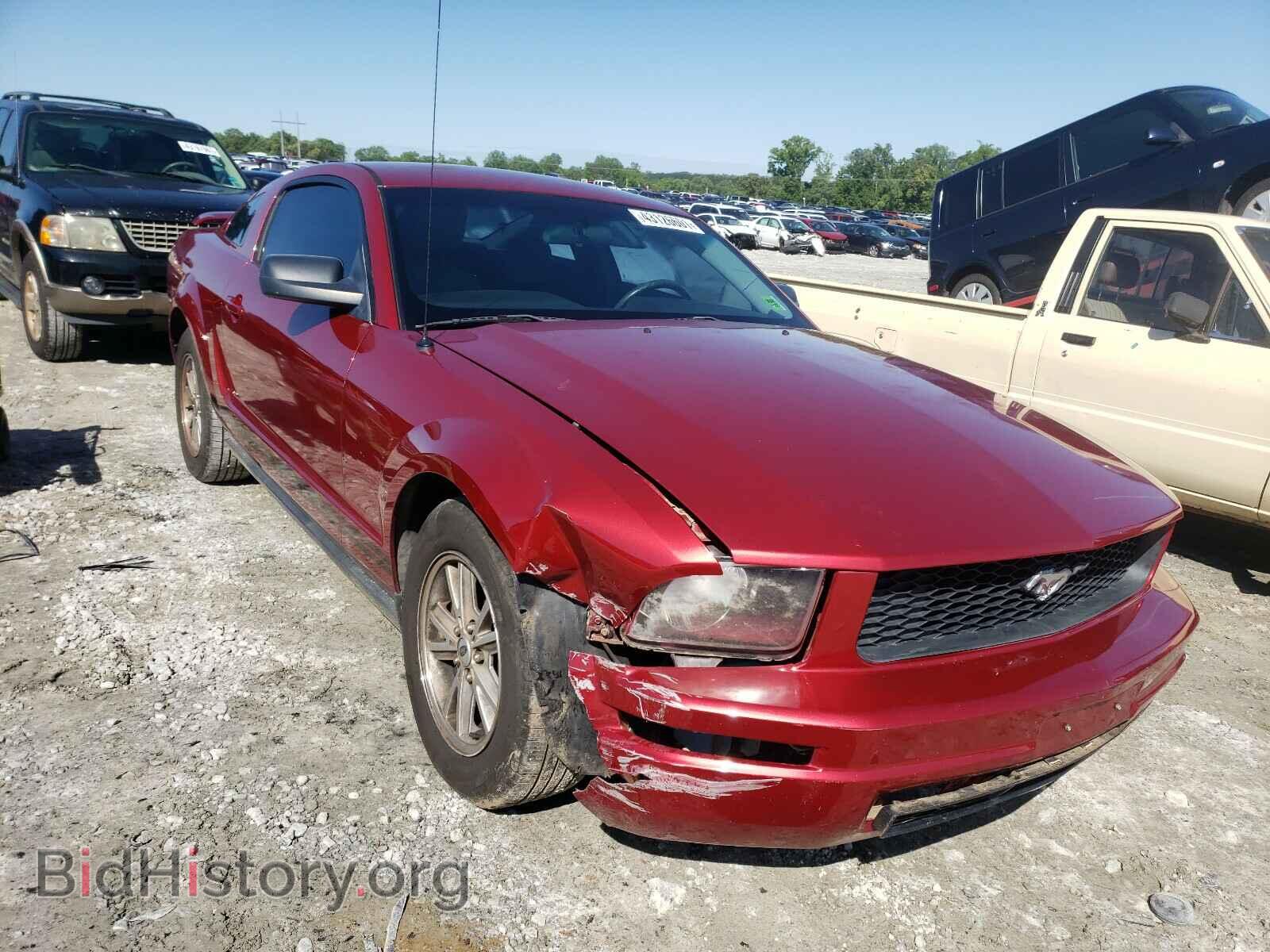 Photo 1ZVFT80N665243977 - FORD MUSTANG 2006
