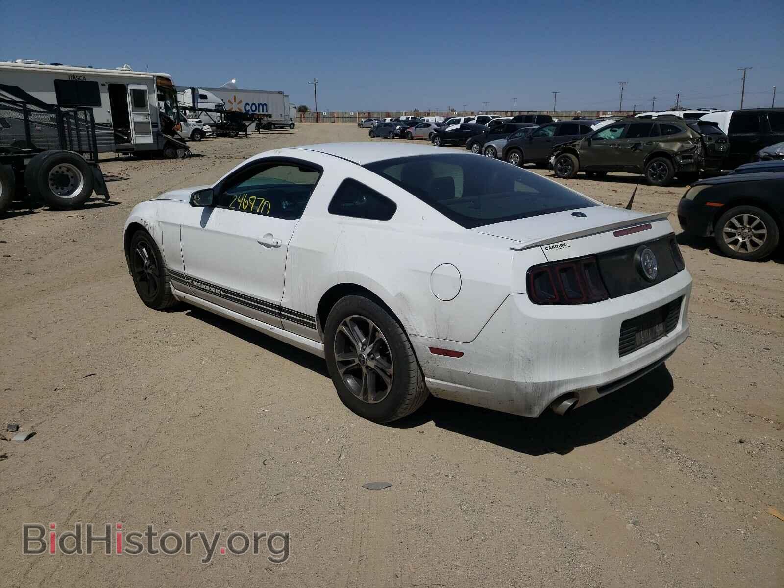 2014 FORD MUSTANG - VIN: 1ZVBP8AM8E5220322 - Фото 3