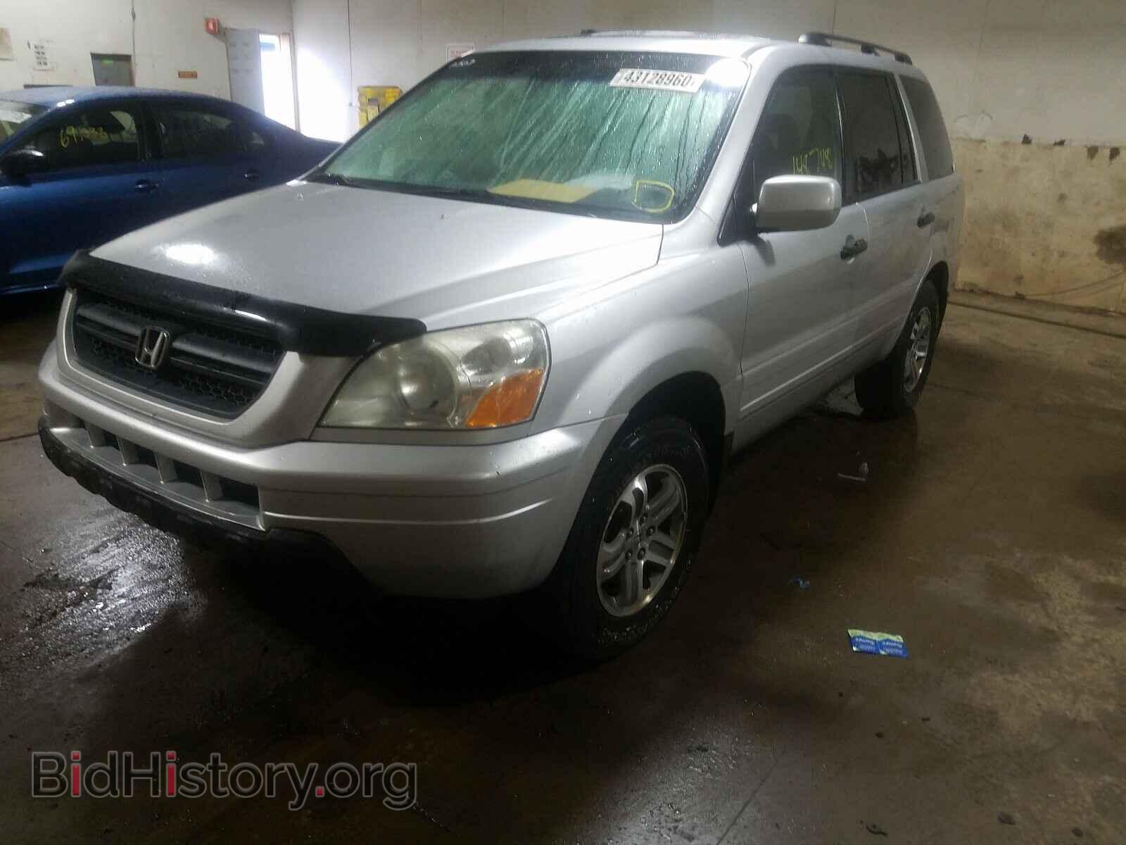 2005 HONDA PILOT - VIN: 5FNYF18505B050736 - Фото 2