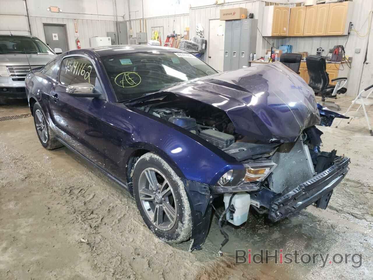 Photo 1ZVBP8AN2A5140727 - FORD MUSTANG 2010