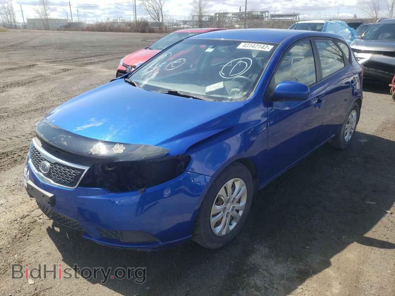 2012 KIA FORTE - VIN: KNAFT5A28C5584098 - Фото 2