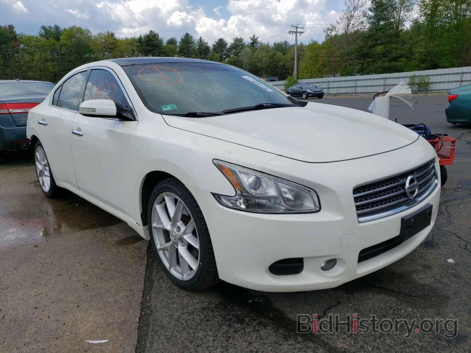 Photo 1N4AA5AP5BC832693 - NISSAN MAXIMA 2011