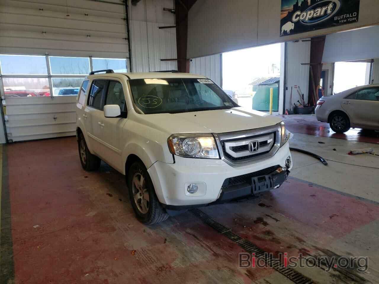 Photo 5FNYF4H45BB041955 - HONDA PILOT 2011