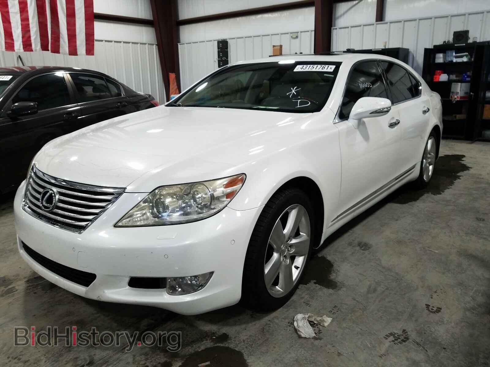 2011 LEXUS LS460 - VIN: JTHBL5EF6B5107634 - Фото 2