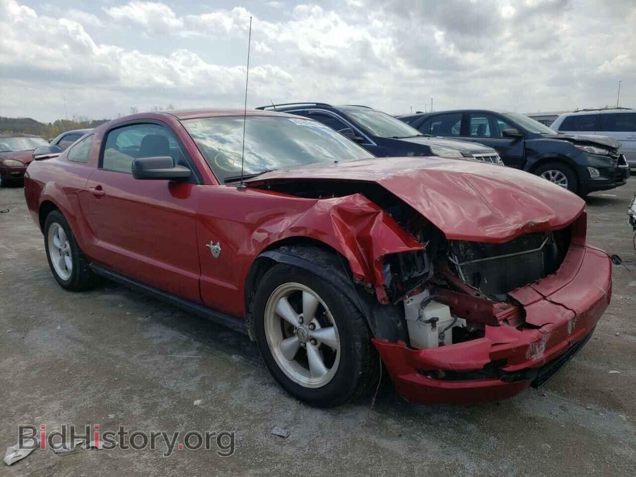 Фотография 1ZVHT80N795111422 - FORD MUSTANG 2009
