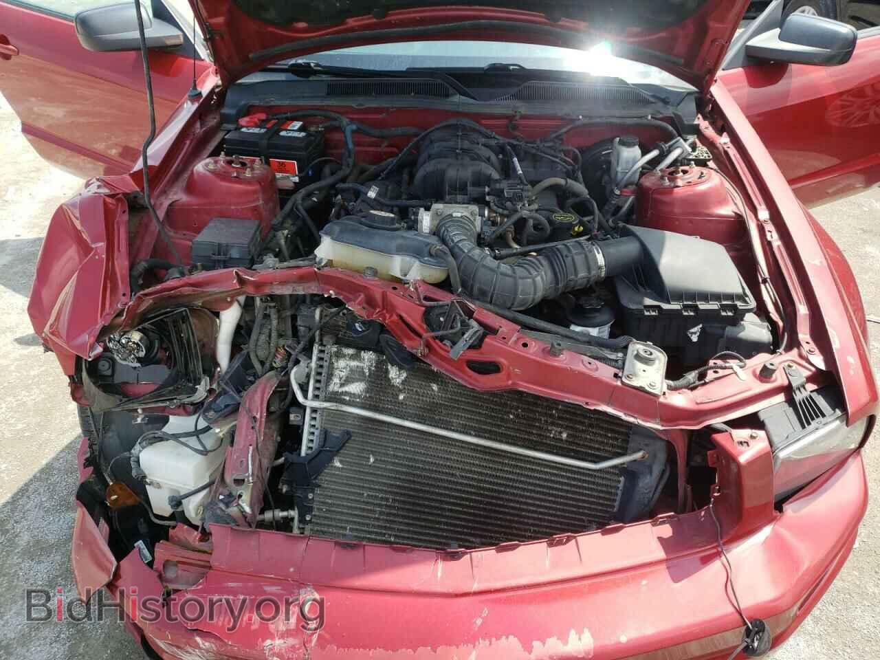2009 FORD MUSTANG - VIN: 1ZVHT80N795111422 - Фото 7