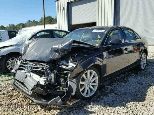 2013 AUDI A4 - VIN: WAUFFAFL5DN027880 - Photo 2
