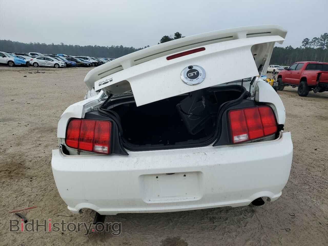 2006 FORD MUSTANG - VIN: 1ZVHT82H665248483 - Фото 6