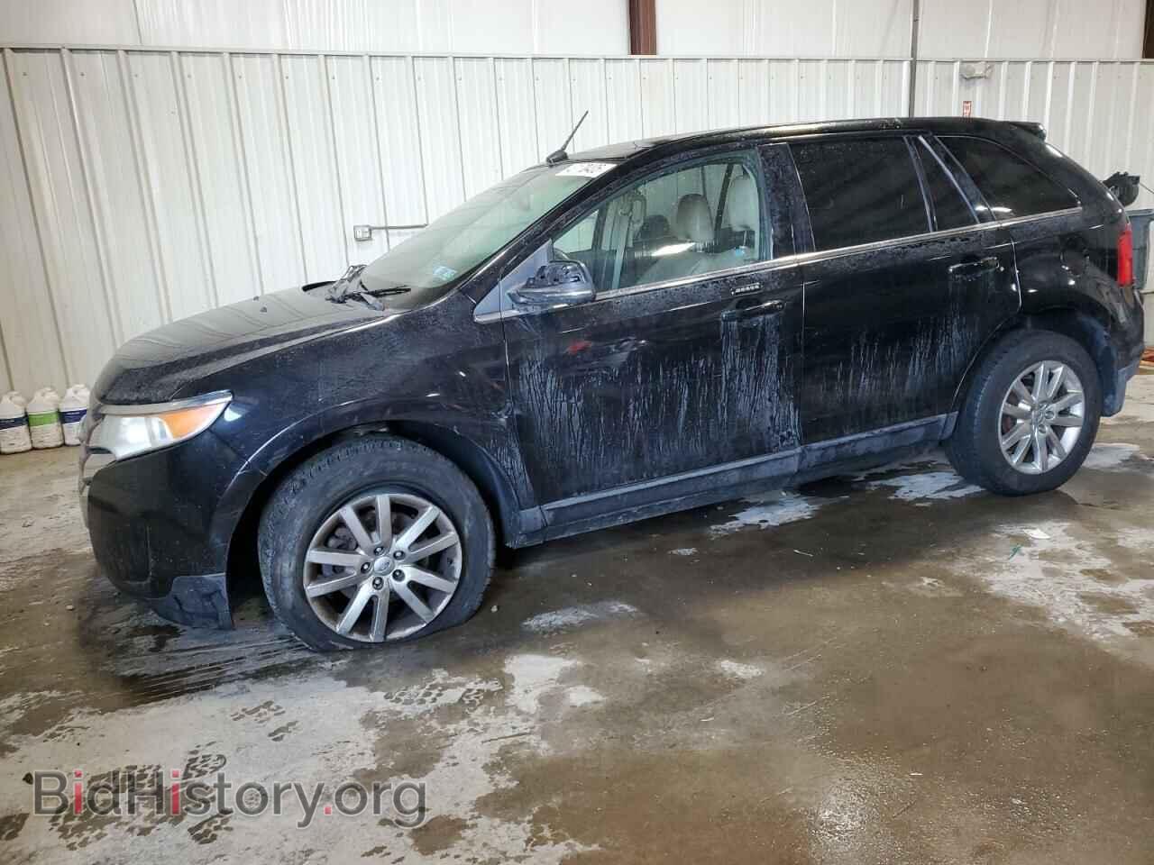 Фотография 2FMDK4KC2CBA12210 - FORD EDGE 2012