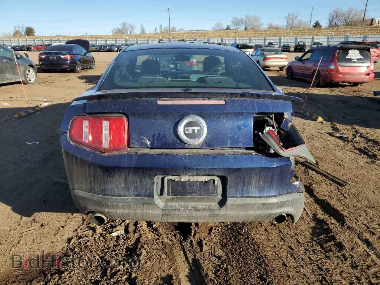 2010 FORD MUSTANG - VIN: 1ZVBP8CH2A5146597 - Фото 6