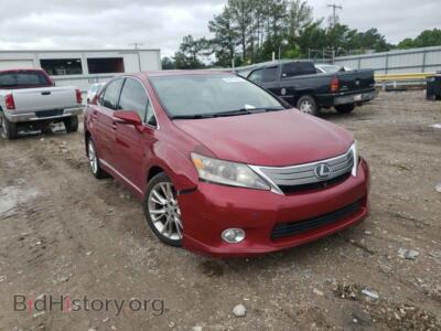 2010 Lexus HS HS 250h, red — VIN JTHBB1BA8A2017597, Copart