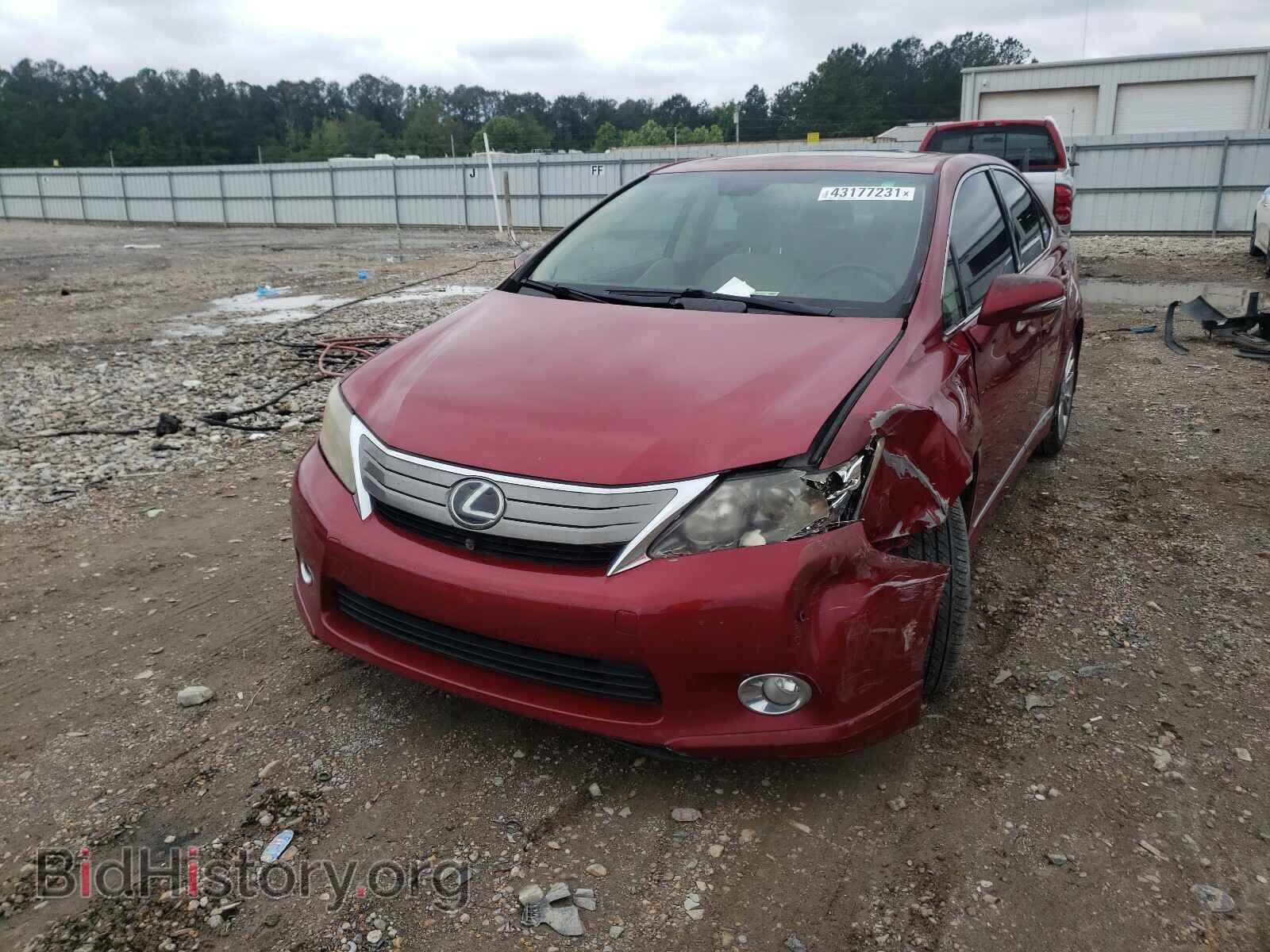 2010 LEXUS HS - VIN: JTHBB1BA8A2017597 - Фото 2