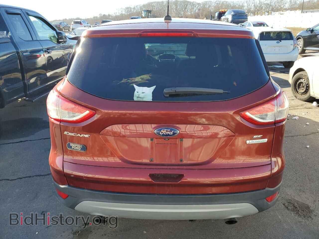 2014 FORD ESCAPE - VIN: 1FMCU0GX1EUE19510 - Фото 6